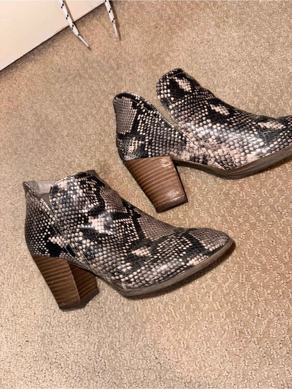 Fergalicious Snake-Print Ankle Booties in Black and Cream